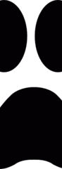 ShortVideoGen