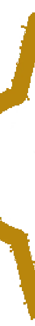 SNEWPapers