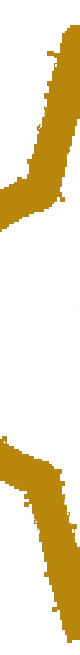 SNEWPapers