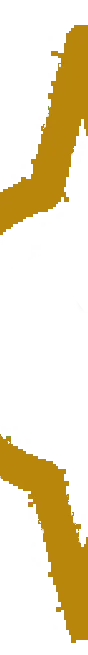 SNEWPapers