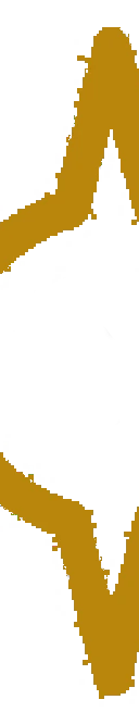 SNEWPapers