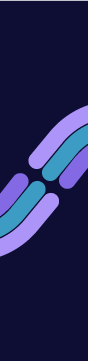Solo Cli