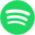 Spotify DJ
