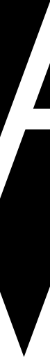 Vannevar Labs