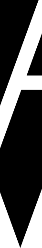 Vannevar Labs