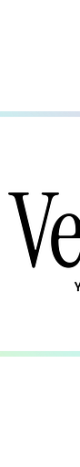 Velona AI