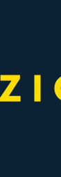 Vizion Container API