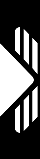Vozo Video Translator