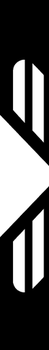 Vozo Video Translator
