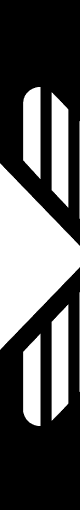 Vozo Video Translator
