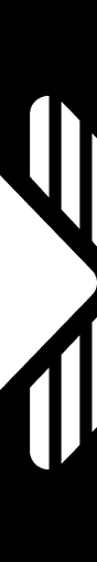 Vozo Video Translator