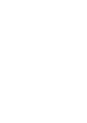 Whisk