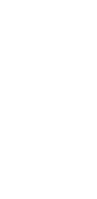 Whisk