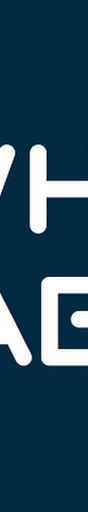 WhyLabs