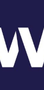 WisdomAI
