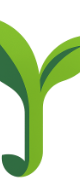 WiseYield