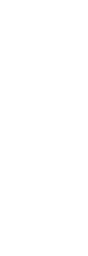 Wisibl