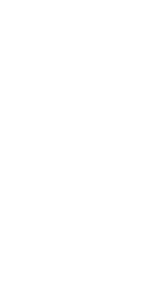 Wisibl