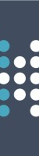 Xpress AI