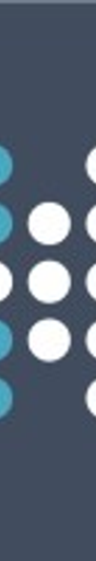 Xpress AI