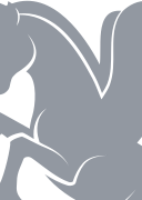 Zo Computer