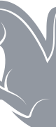 Zo Computer