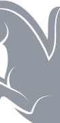 Zo Computer